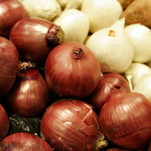ALLIUM CEPA