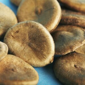 NUX VOMICA