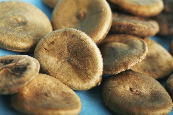 NUX VOMICA